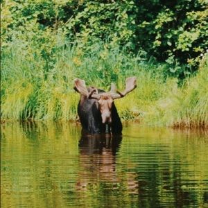 Meet your Posher, Mitchell